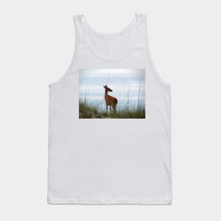 Deer Checking Out The Beach Tank Top